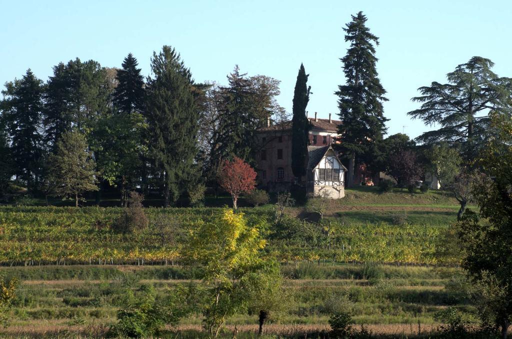 Casali Del Picchio - Winery Villa Cividale del Friuli Buitenkant foto