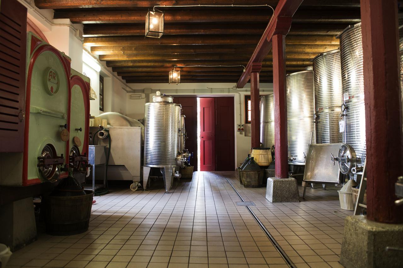 Casali Del Picchio - Winery Villa Cividale del Friuli Buitenkant foto